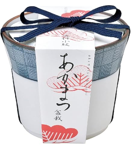 Amazon.co.jp: 聖新陶芸 染付小紋盆栽栽培セット もみじ GD